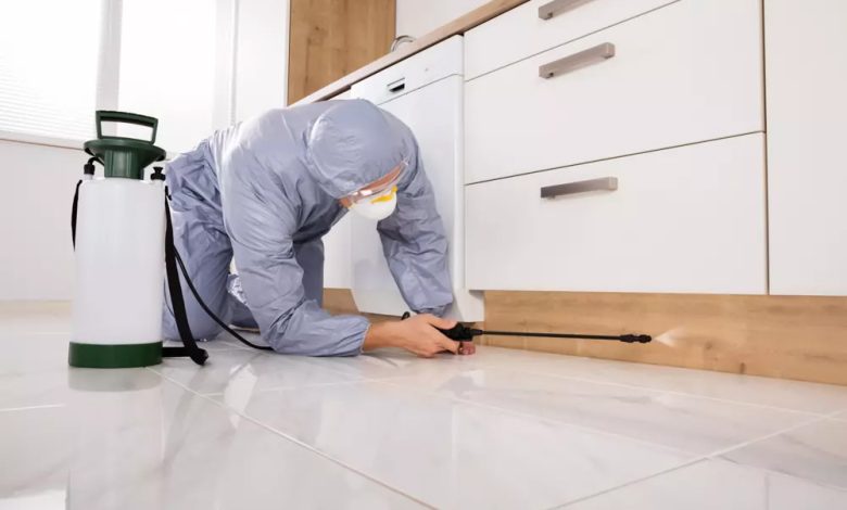 Commercial Termite Control services Lahore