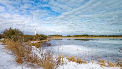 new jersey attractions in winter