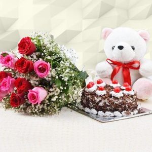 Cake and Soft toy combo