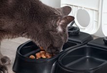 How To Make An Automatic Feeding Machine