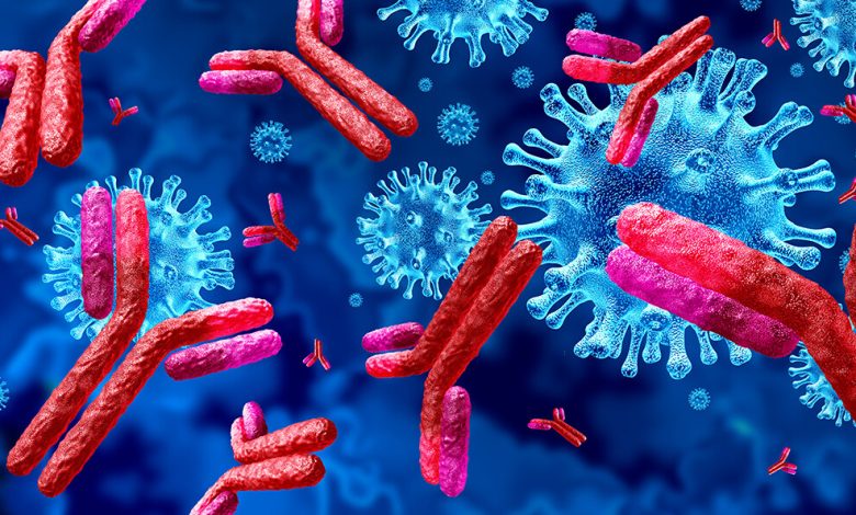 coronavirus antibodies