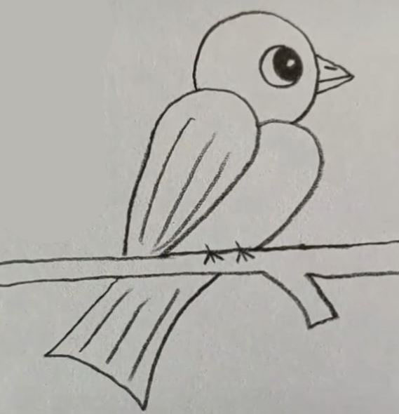 Bird For Kids