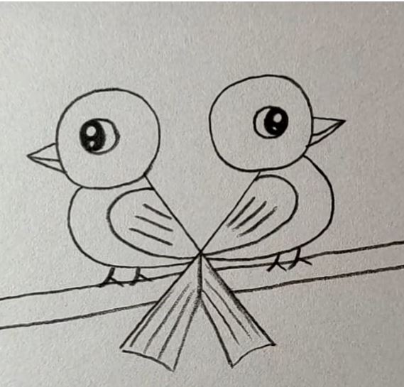 Birds