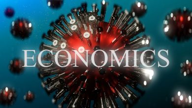 How does an economics assignment help you