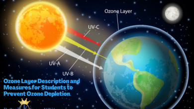 Ozone Layer Description and Measures for Students to Prevent Ozone Depletion