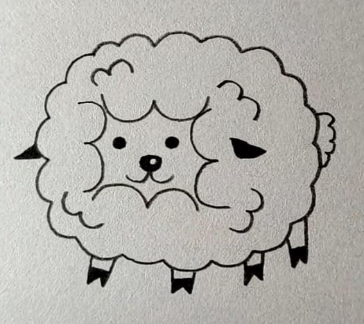 Sheep