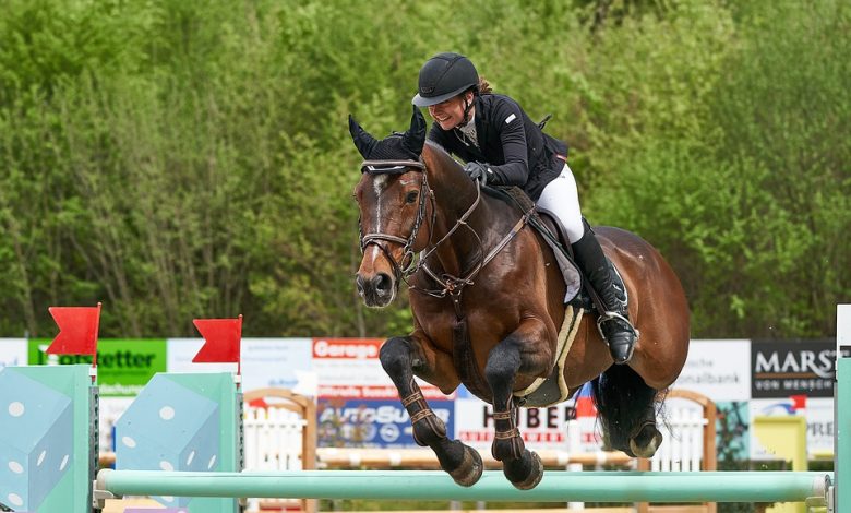 horse-jumping-4416634_960_720