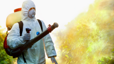 pest control Hyderabad