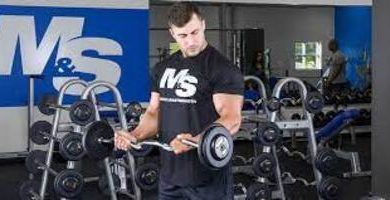Arms
