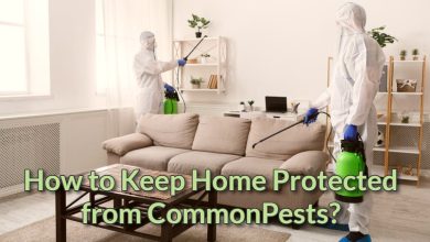 pest control near me
