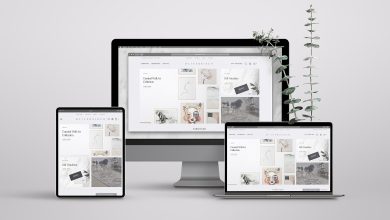 Shopify Web Design